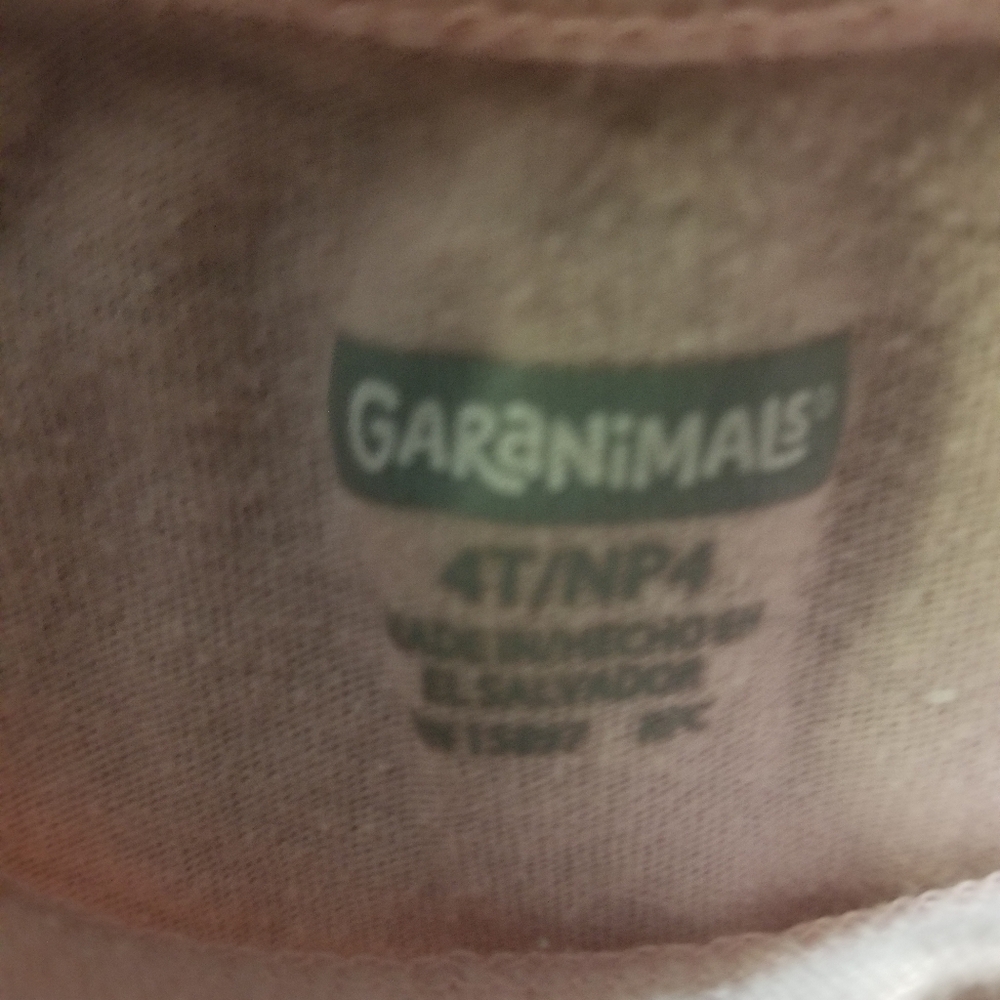 Hodgepodge 4T clothes- Gerber, Garanimals, etc. - Picture 3 of 15
